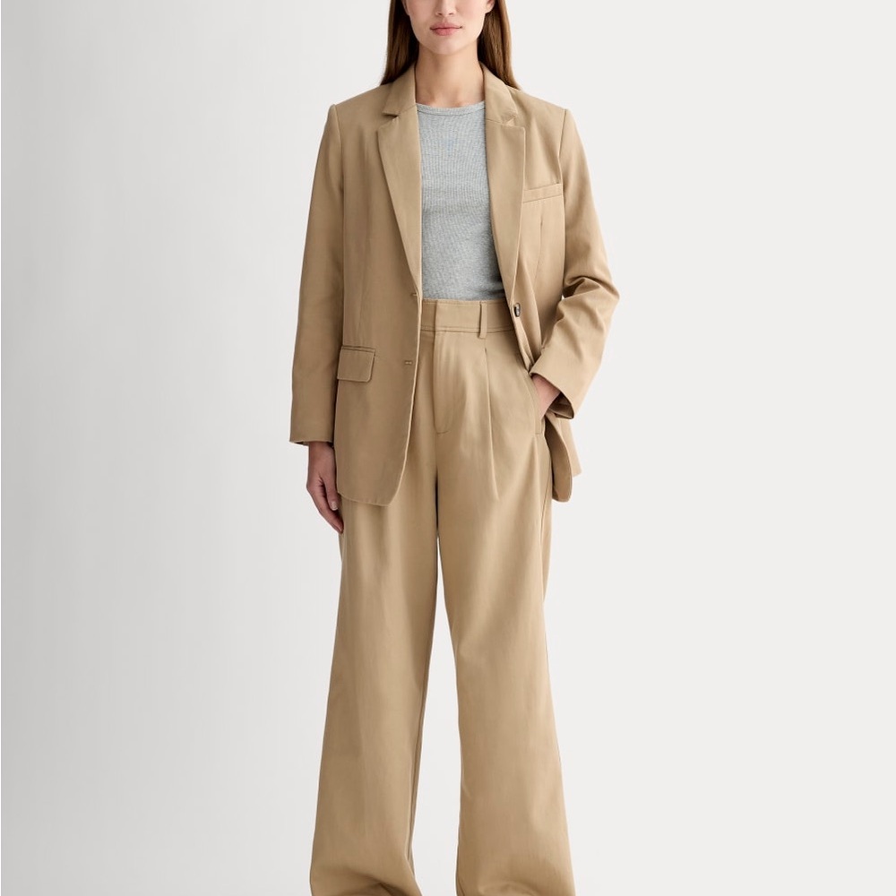Everlane Draper Pleated Pant in Ash Brown